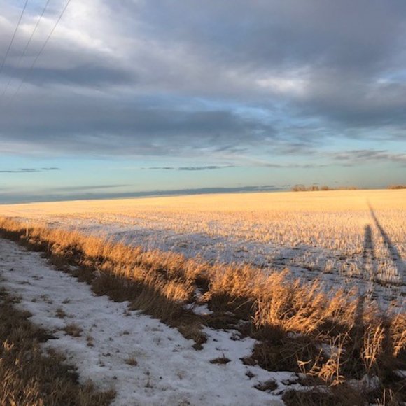 ❤️ for Shopgirl1912 - Picture 6 of 9